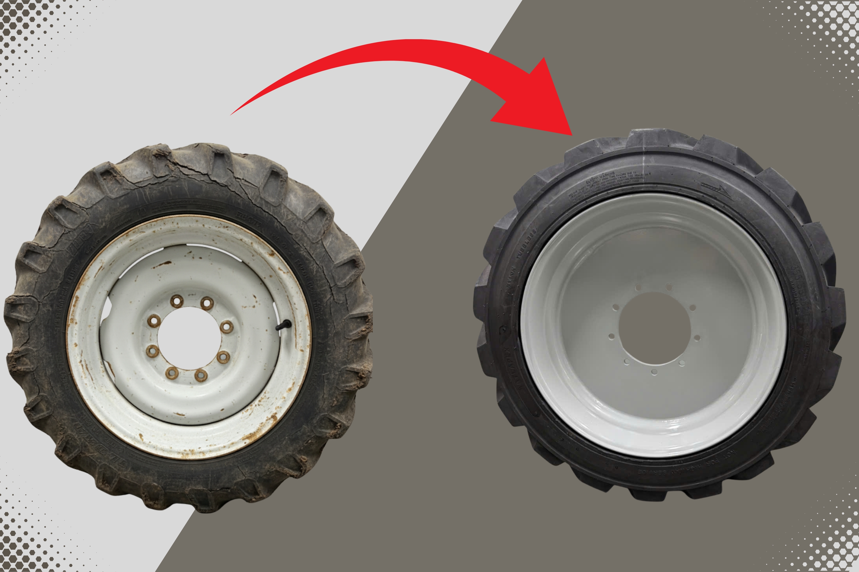 Chương trình đặc biệt: 